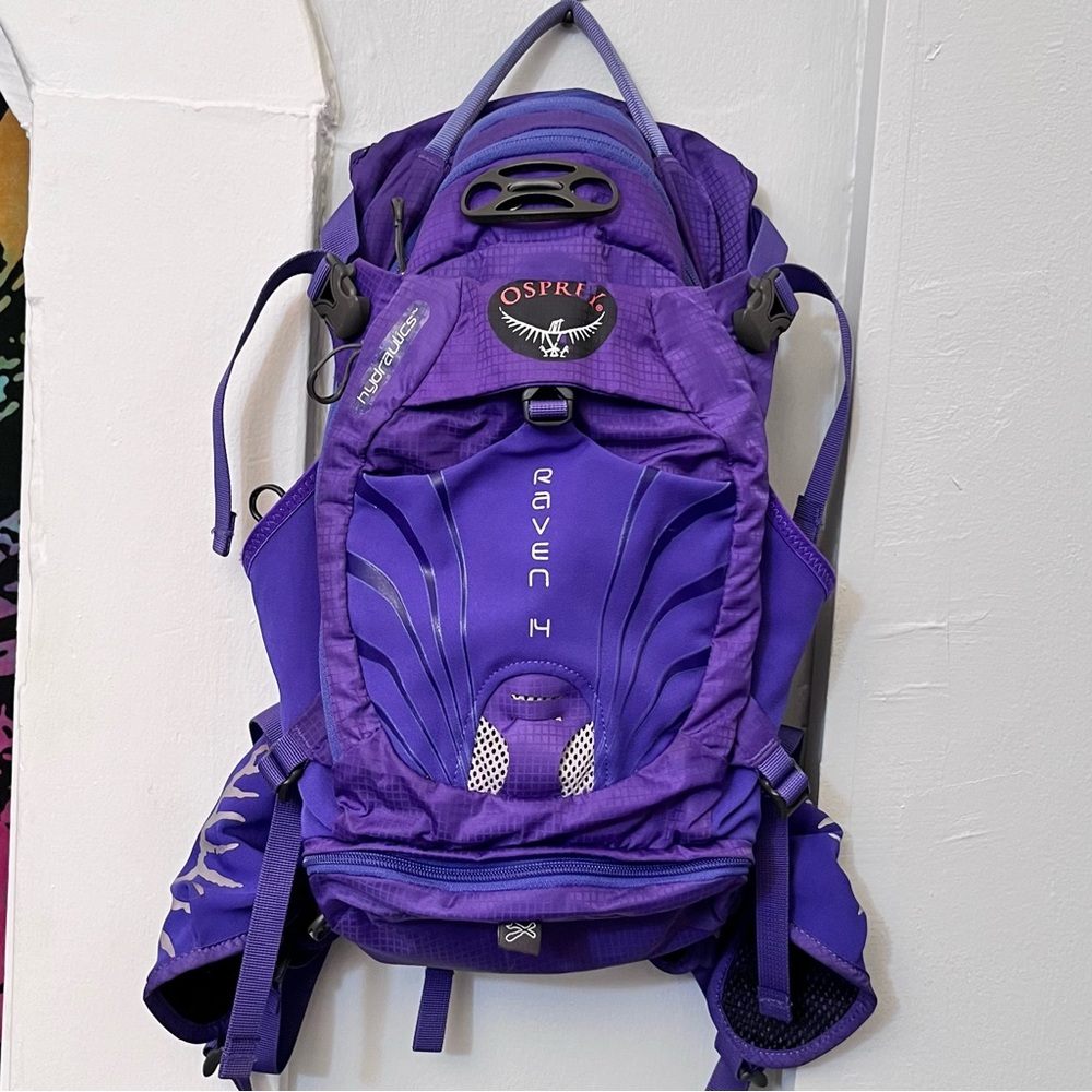 Osprey Raven 14 Purple Daypack